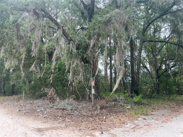 Land for sale in High Springs, Florida