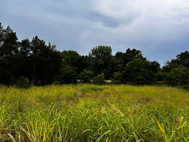 Land for sale in Tennessee