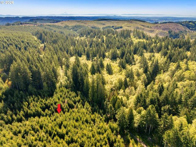 Land for sale in Oregonia