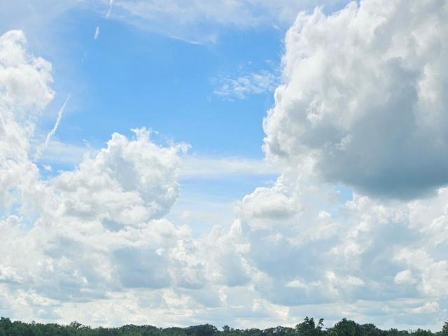 Land for sale in Sunset, Louisiana