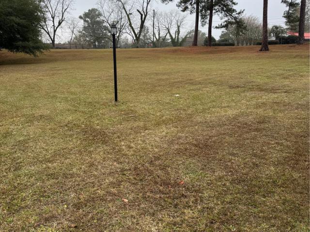 Land for sale in Grady, Georgia