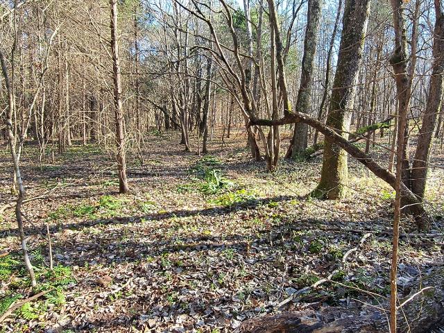 Farm for sale in Dickson, Middle Tennessee
