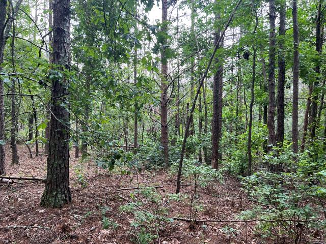Land for sale in Bartow, Georgia