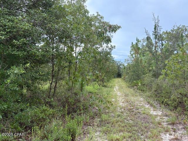 Property for sale in Altha, Florida