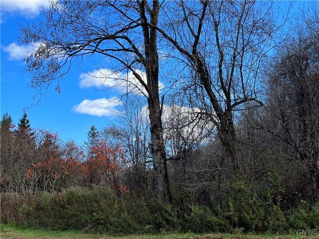 Property for sale in Cold Brook, New York