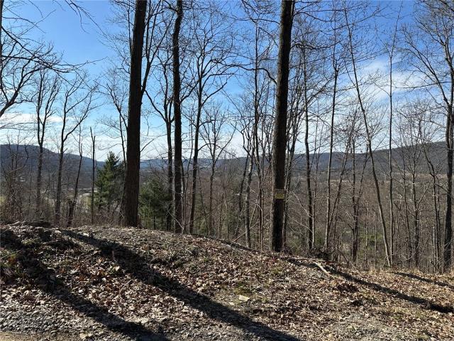 Land for sale in Town of Bath, Steuben County