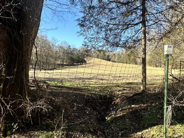 Land for sale in Tennessee