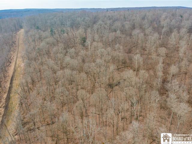 Land for sale in Frewsburg, New York