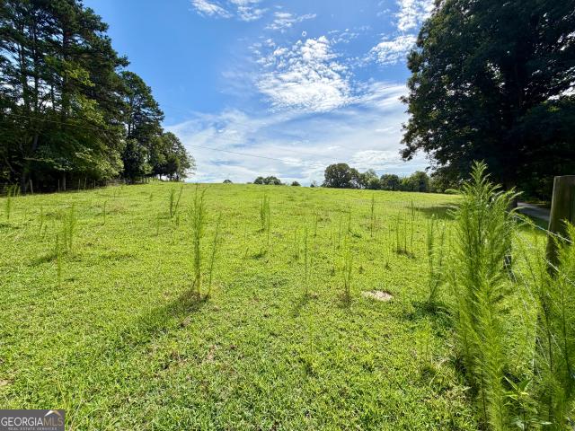 Land for sale in Demorest, Georgia