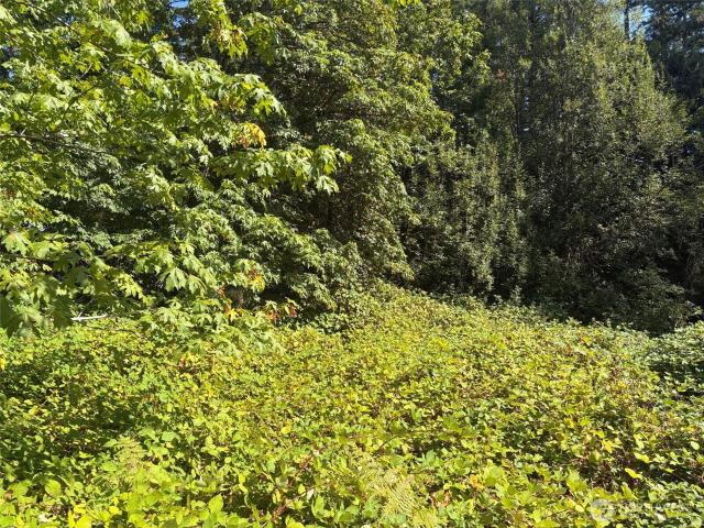 Land for sale in Quilcene, Washington