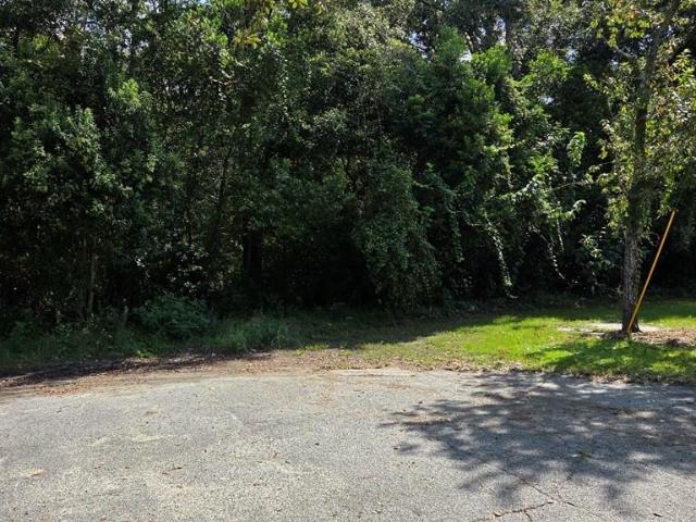 Land for sale in Jesup, Georgia