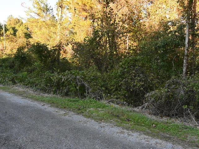 Land for sale in Cleveland, Blount County