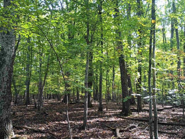 Land for sale in Virginia