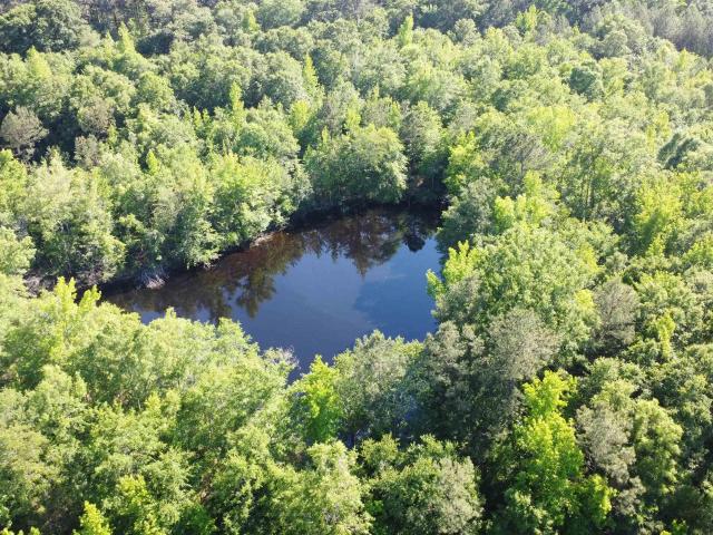 Land for sale in Johnston, South Carolina
