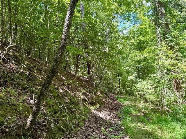 Land for sale in Alpine, Alabama