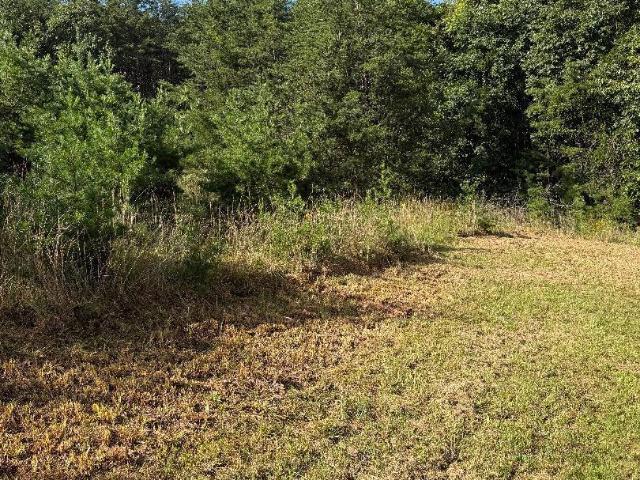 Land for sale in Spout Spring, Appomattox County