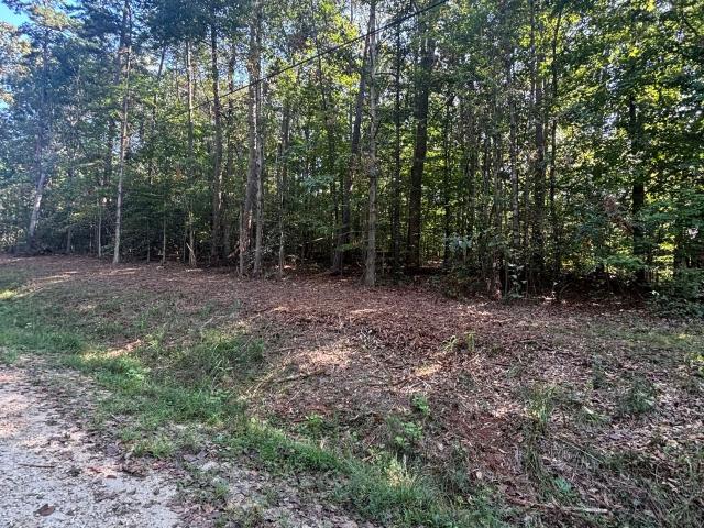 Land for sale in Gumlog, Lavonia