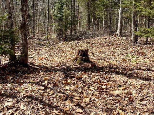 Land for sale in Bennington, Vermont