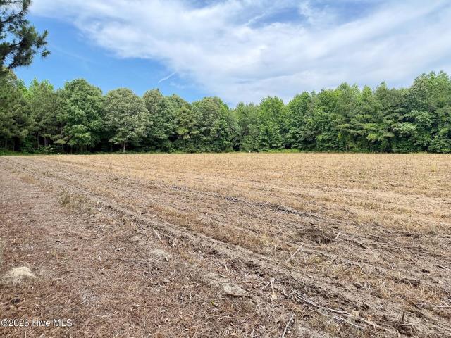Land for sale in Windsor, North Carolina