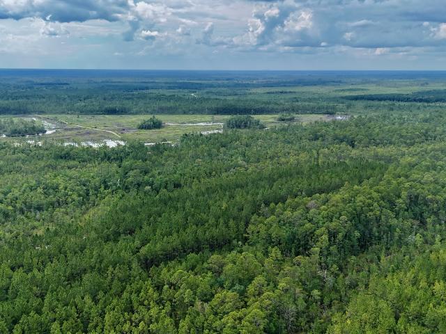 Land for sale in Georgia
