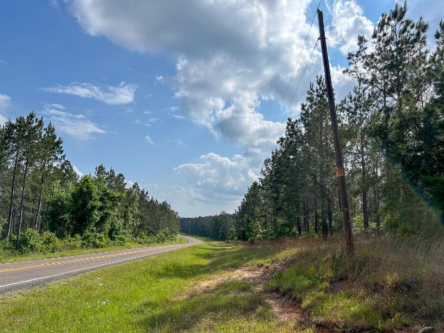 Land for sale in San Augustine, Texas