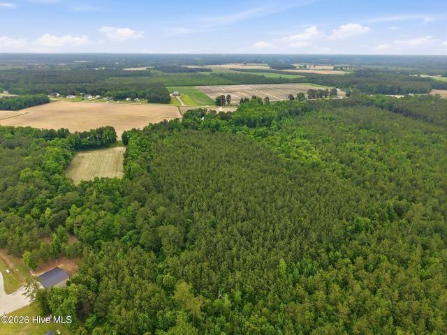 Land for sale in Walstonburg, North Carolina