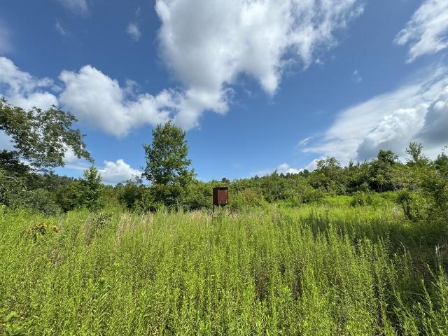 Land for sale in Columbia, Mississippi