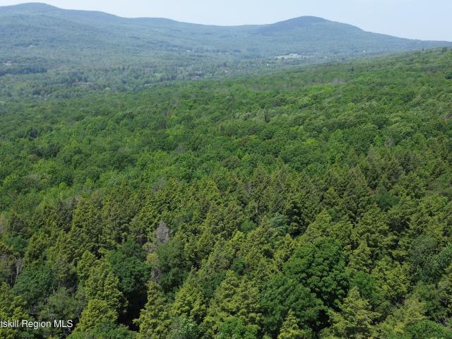 Land for sale in Ashland, New York