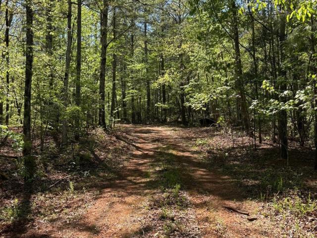 Land for sale in Talbot, Georgia
