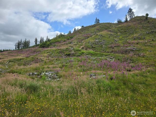 Land for sale in Cosmopolis, Washington