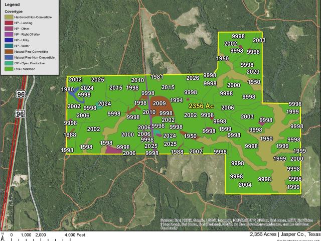 Land for sale in Jasper, Texas