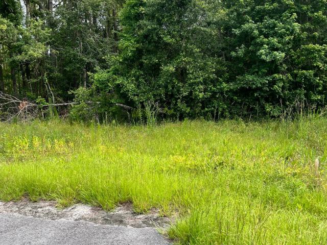 Land for sale in Midway, Georgia
