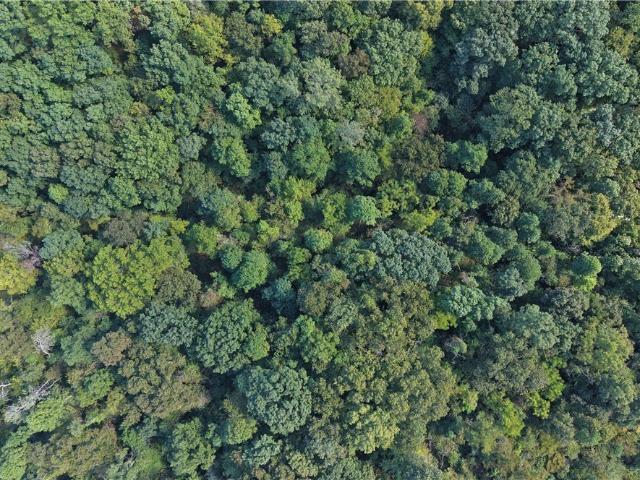 Land for sale in Albany, Athens County