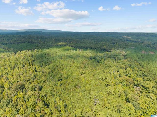 Land for sale in Pell City, St. Clair County