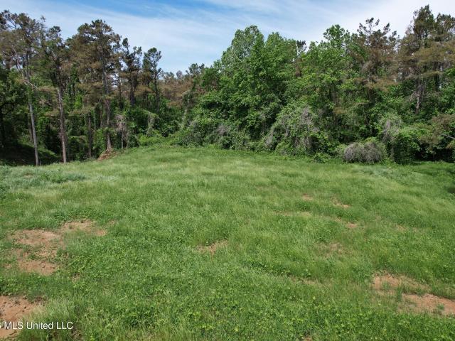 Land for sale in Holly Springs, Mississippi