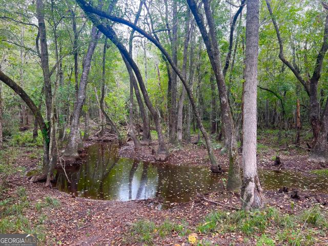 Land for sale in Mount Vernon, Georgia