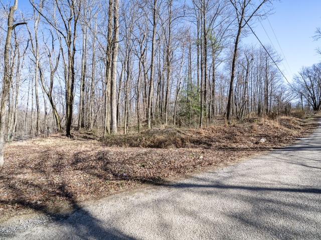 Land for sale in Tennessee