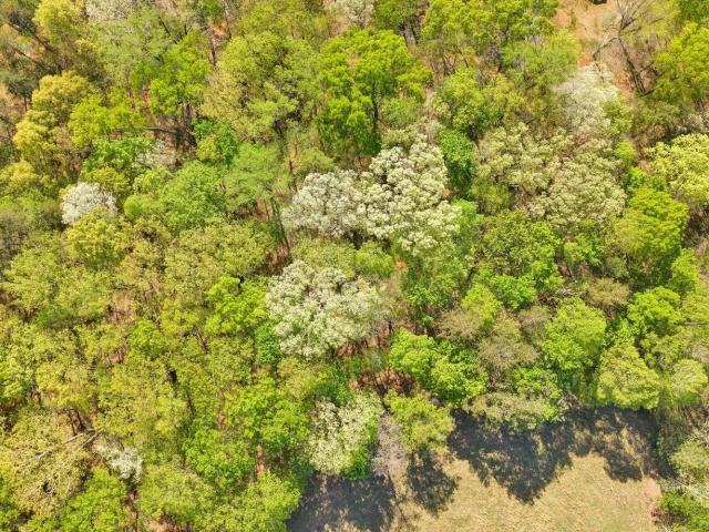 Land for sale in Virginia