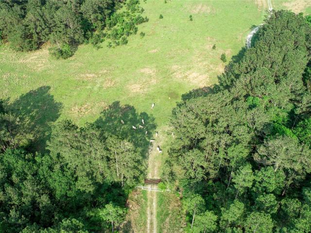 Land for sale in Sour Lake, Texas