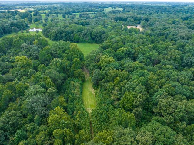 Land for sale in Tennessee