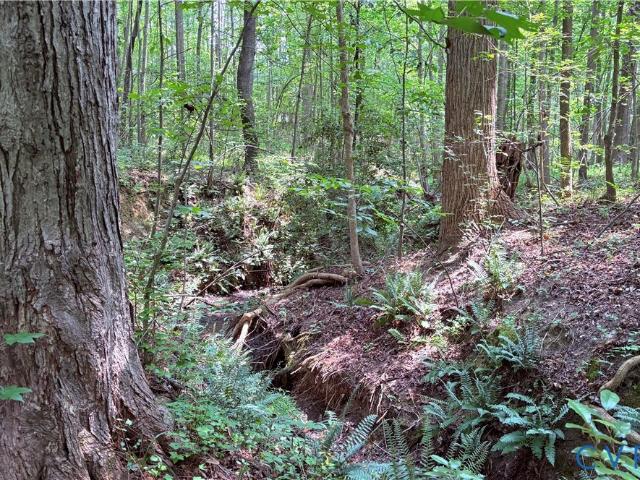 Land for sale in Virginia