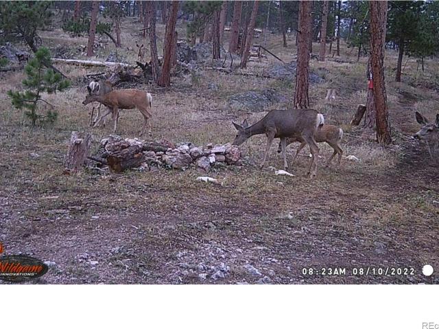 Land for sale in Colorado