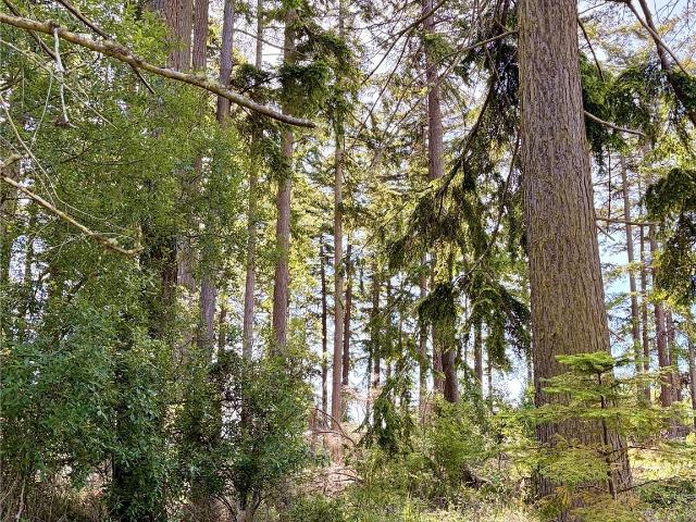 Land for sale in Oak Harbor, Washington