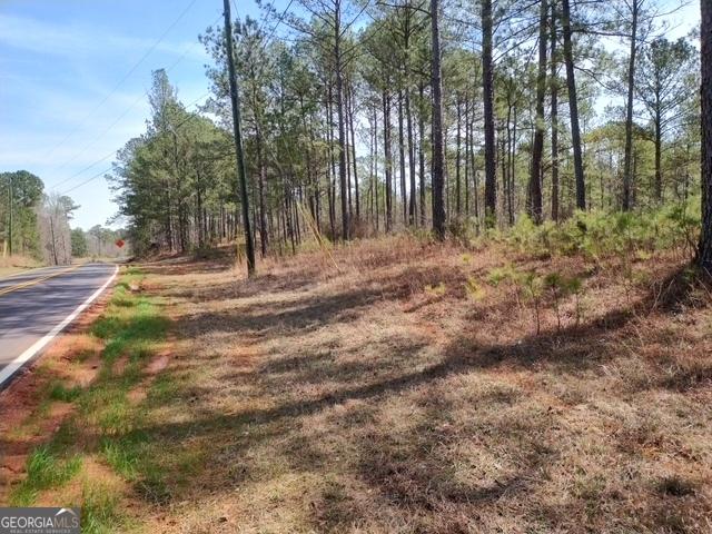 Land for sale in Georgia