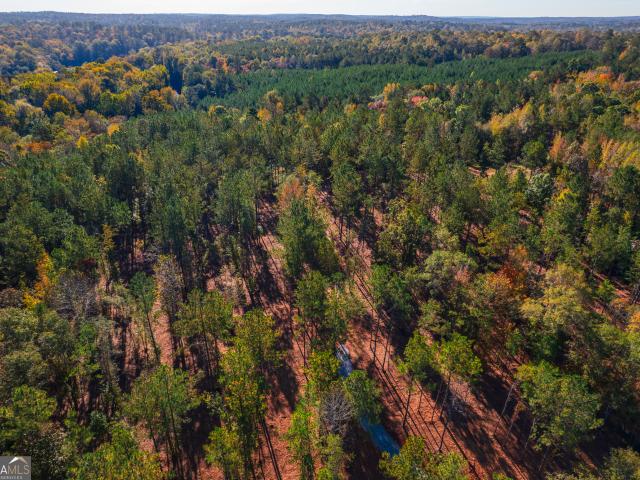 Land for sale in Juliette, Georgia