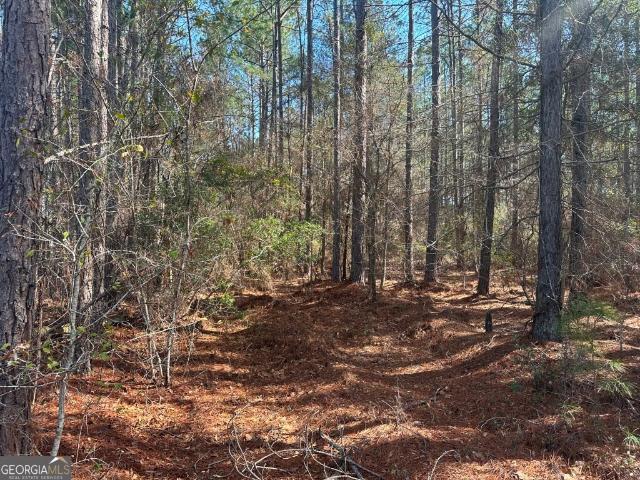 Land for sale in Screven, Georgia