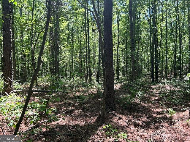 Land for sale in Temple, Georgia