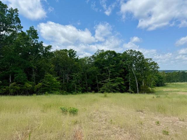 Land for sale in Tennessee