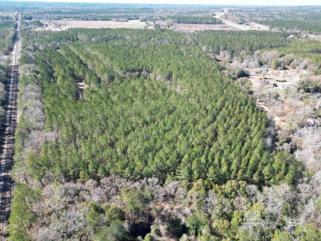 Land for sale in Flomaton, Alabama
