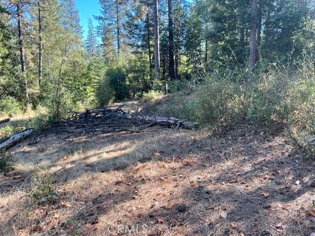 Land for sale in Old Forbestown, Forbestown